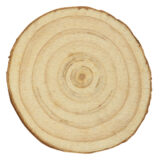 34522_000.jpg